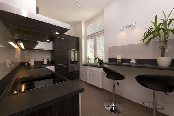 Hotel Apartment Karla Capka Street (Karlovy Vary)